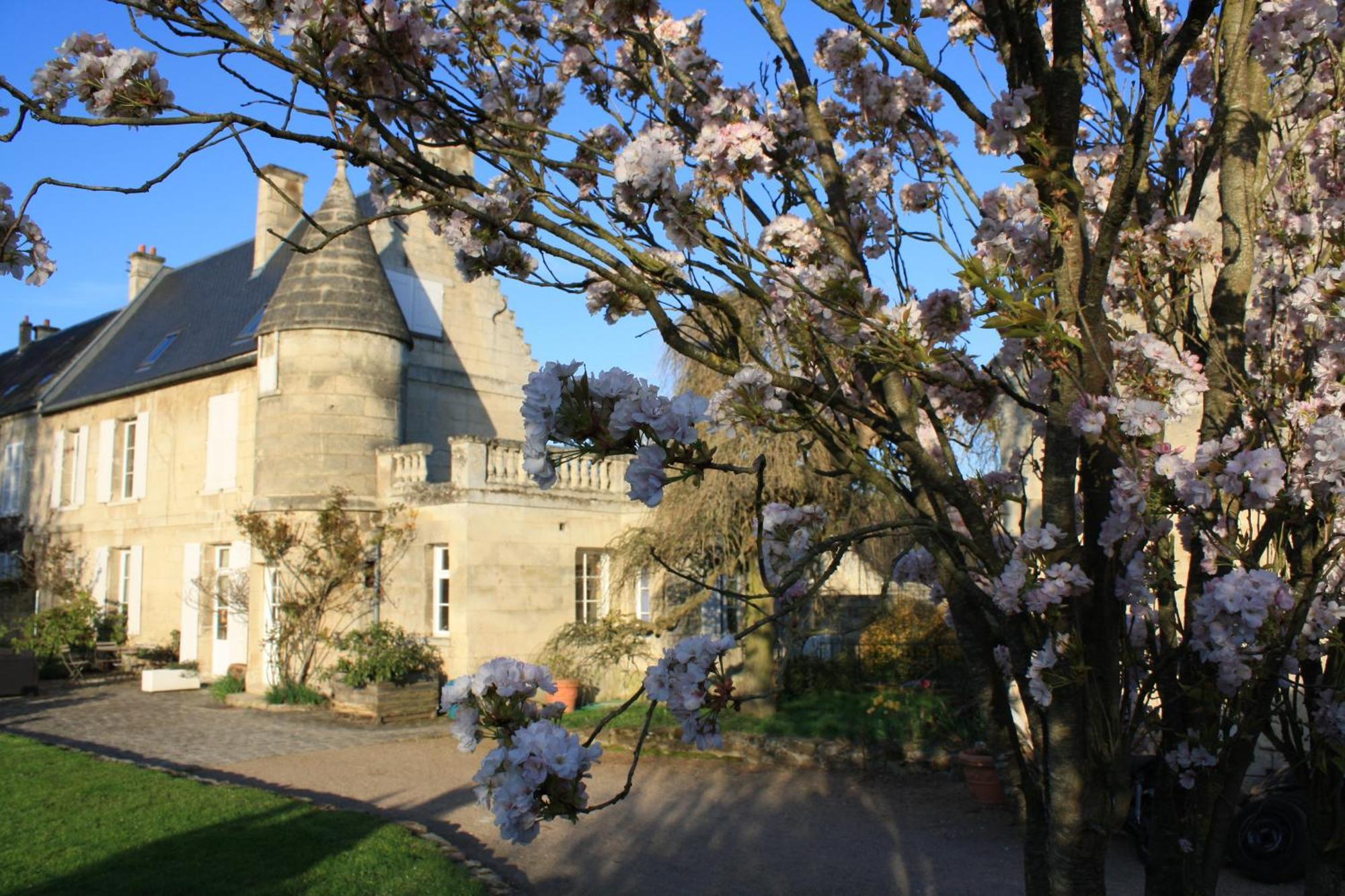 La Barbotine Bed and Breakfast Septmonts Eksteriør billede